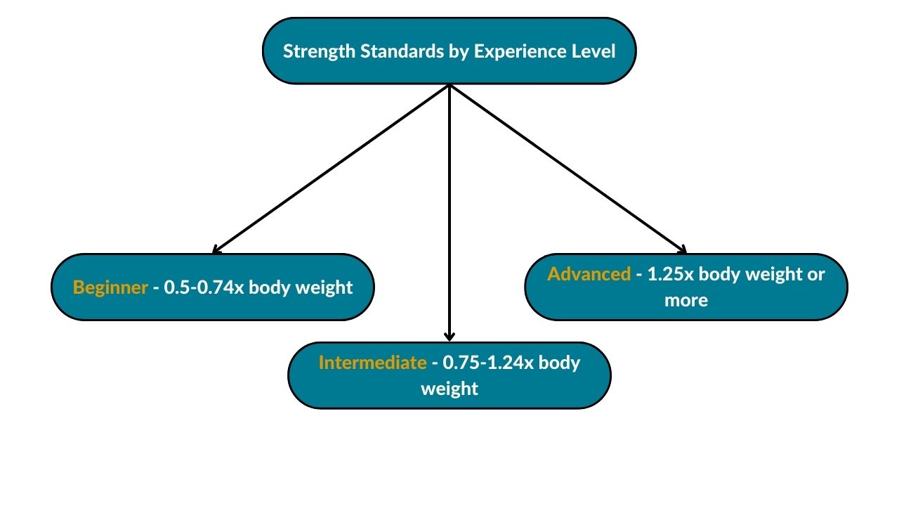 The image showcases strength standards according to experience level. For beginners, it is 0.5-0.74x body weight; for intermediate is 0.75-1.24x body weight; and for advanced is 1.25x body weight or more.