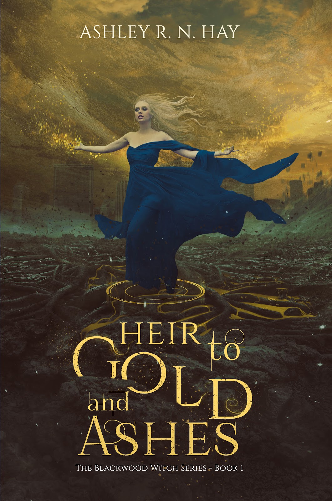 front COVER -HEIR TO GOLD AND ASHES.jpg