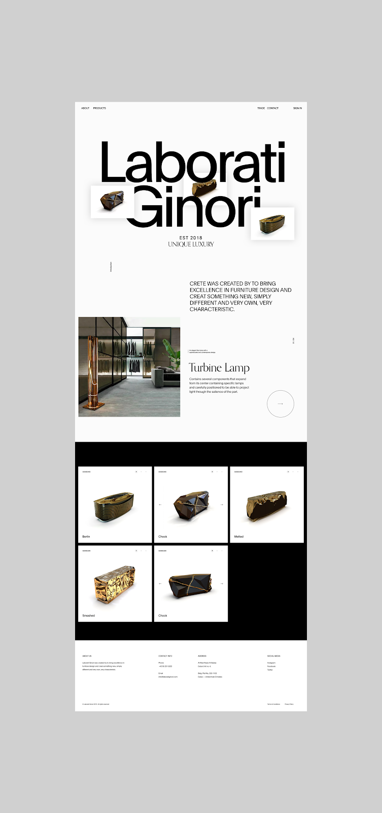 luxury Website Web Design  branding  UI ux Responsive minimal