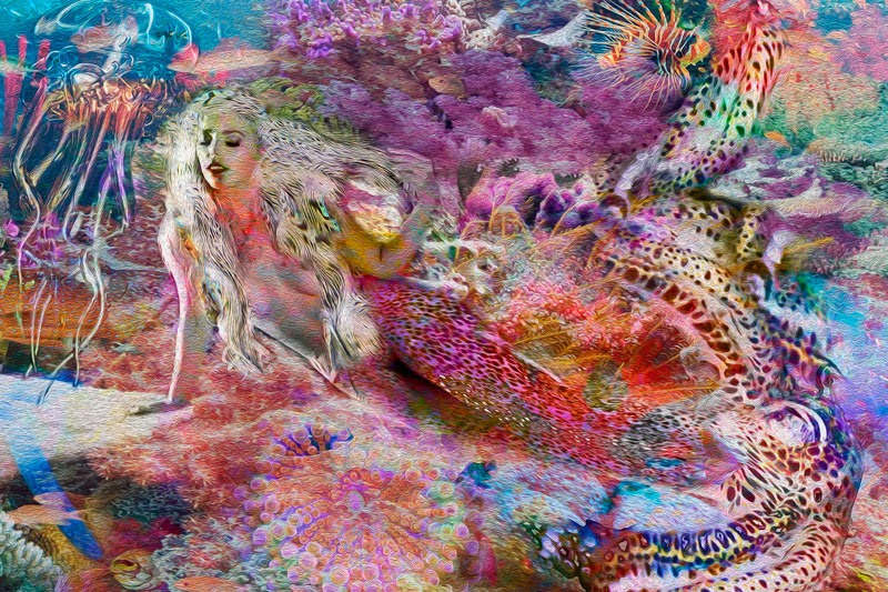Tela "Brazilian Mermaid", obra do artista Henrique Vieira Filho, baseado na vida de Mirella Ferraz