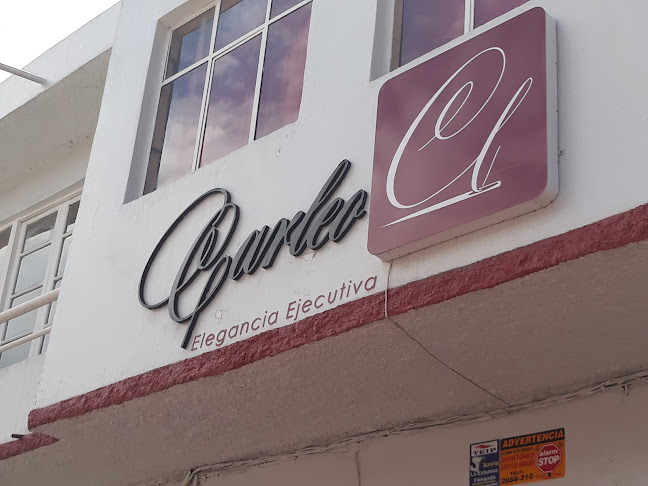 Opiniones de Carleo en Cuenca - Sastre