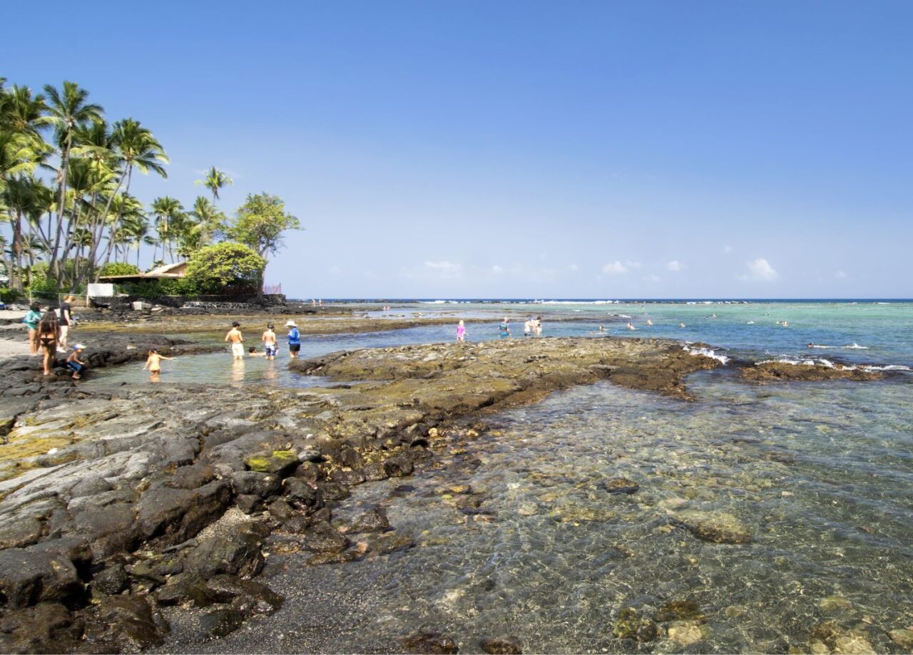 people snorkeling in hawaii