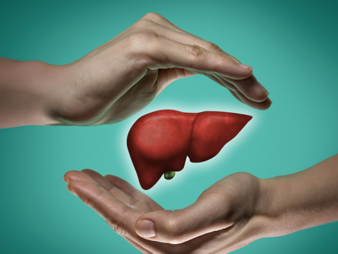 human liver