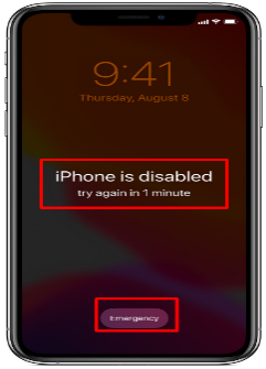 Factors behind Disabled or Unavailable iPhones