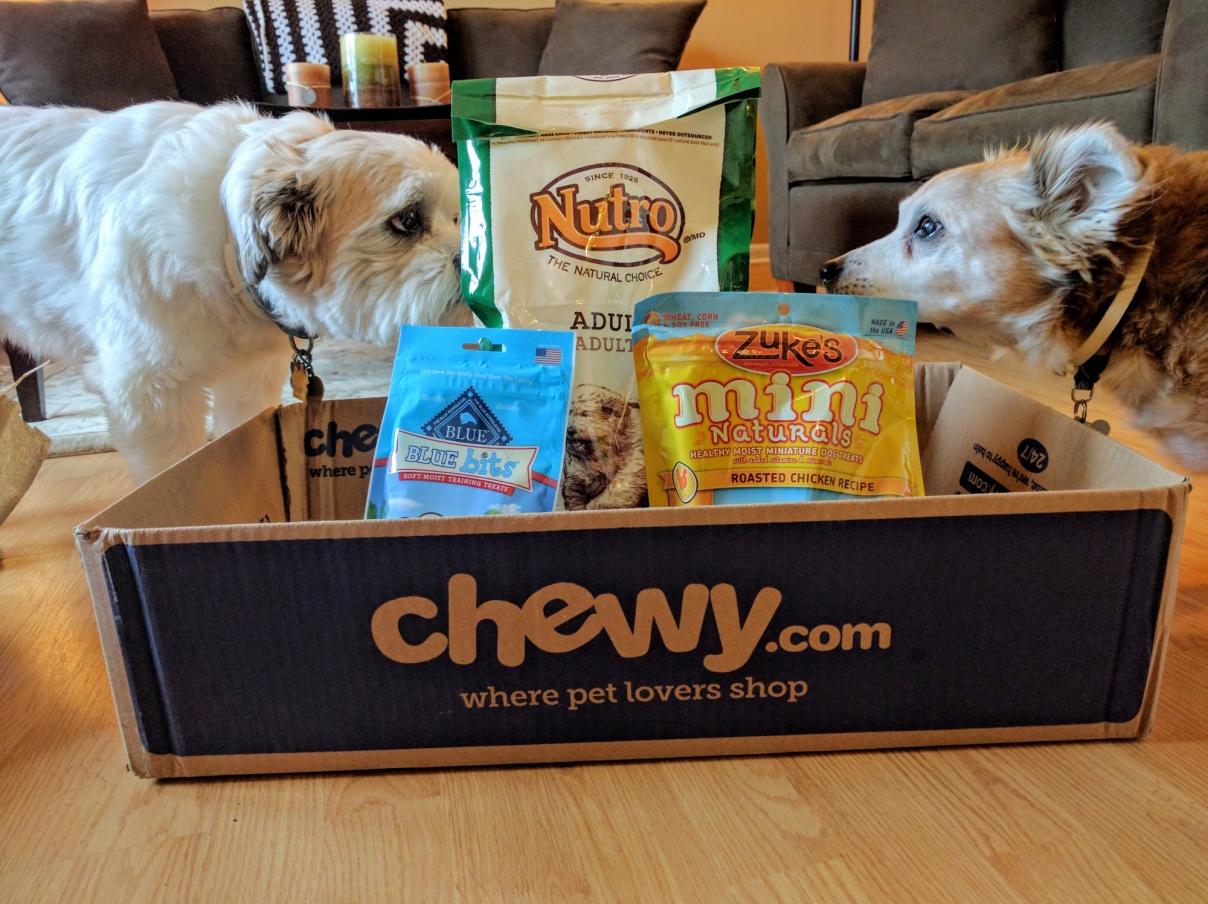 Why I keep ordering from Chewy.com | Dexter&#39;s Dog Days