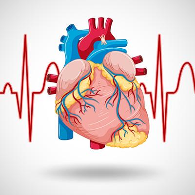 علت گرفتگی مجدد عروق بعد از عمل قلب باز چیست؟