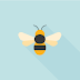 A Bee-utiful Look Into Basic Bee Neuroanatomy