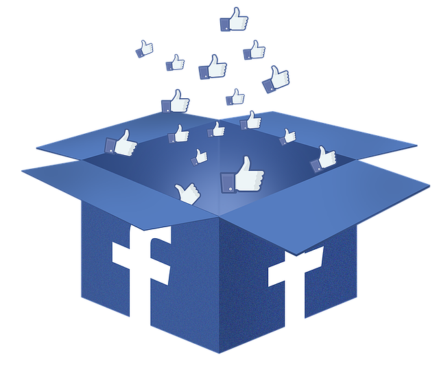 tiktok, facebook box, facebook