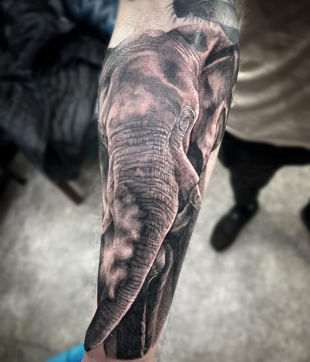 Black Realistic Forearm Elephant Tattoo
