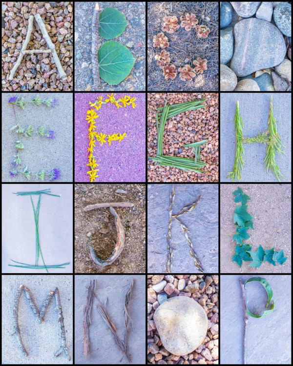 A collage of letters made of objects in nature.