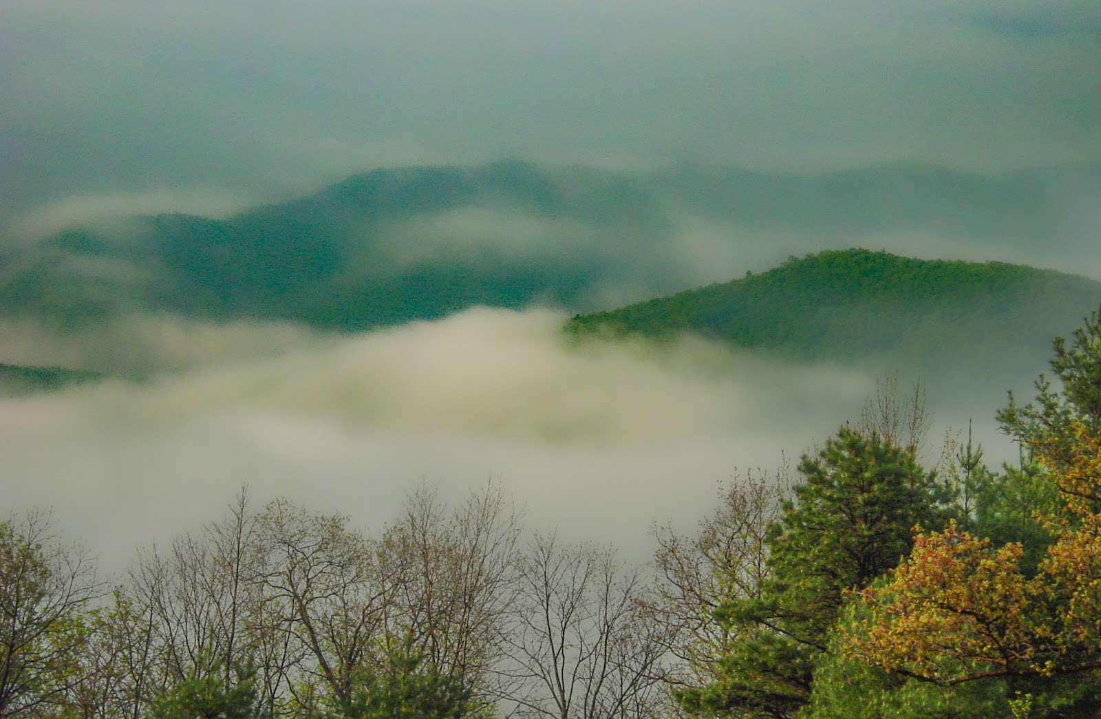 The scene looks down on mountain tops that are surrounded by clouds, trees are in the foreground. 